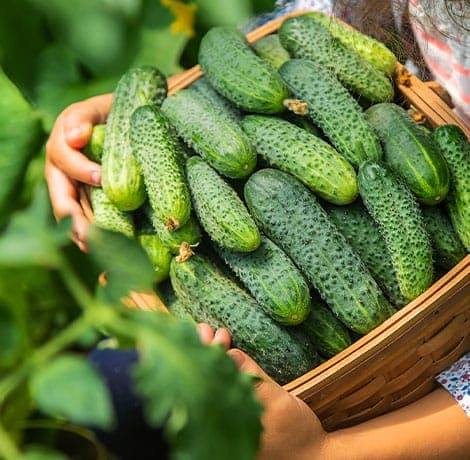 Gherkin process background